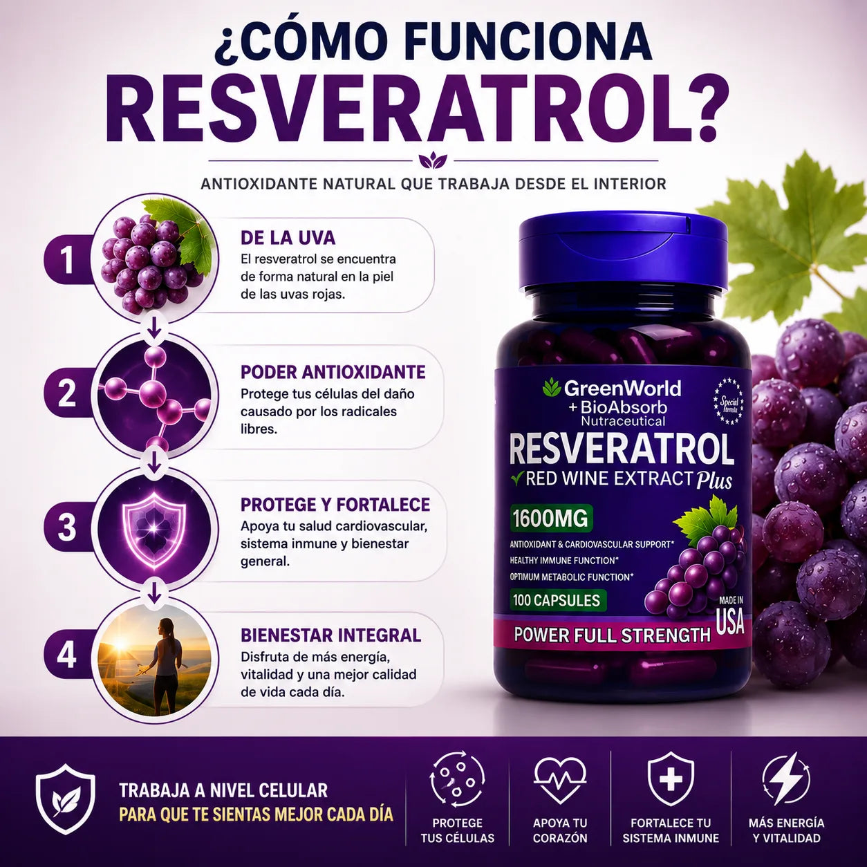 Resveratrol 1600MG Red Wine Extract Plus
